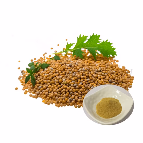 Graines de moutarde en gros à prix d'usine avec la meilleure qualité